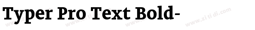 Typer Pro Text Bold字体转换
